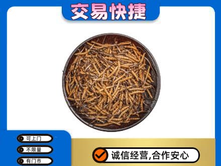 巴彦县回收散虫草